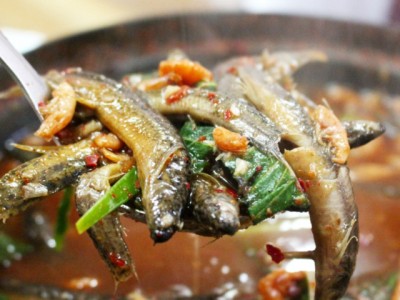 통 미꾸라지 매운탕